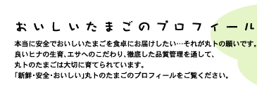 おいしいたまごのプロフィール